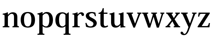 Ryo Display PlusN SB Font LOWERCASE