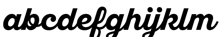 SantElia Script Bold Font LOWERCASE