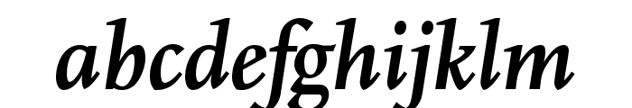Scala Pro Bold Italic Font LOWERCASE