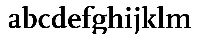 Scala Pro Condensed Bold Font LOWERCASE