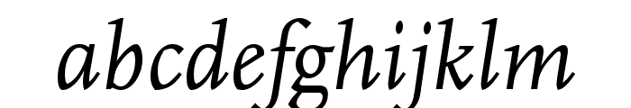 Scala Pro Italic Font LOWERCASE