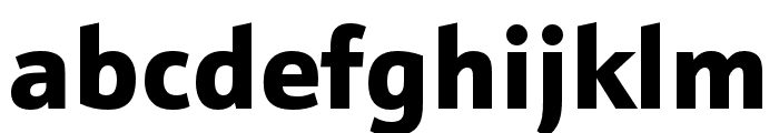 Schnebel Sans Pro Expand Black Font LOWERCASE