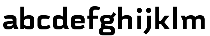 Schwager Sans Black Font LOWERCASE