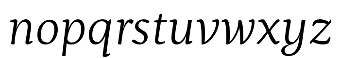 Servus Slab Light Italic Font LOWERCASE