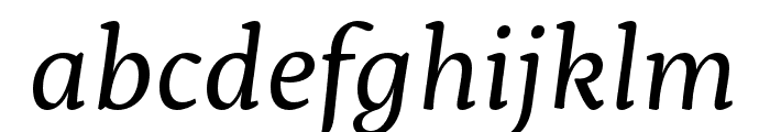 Servus Slab Regular Italic Font LOWERCASE