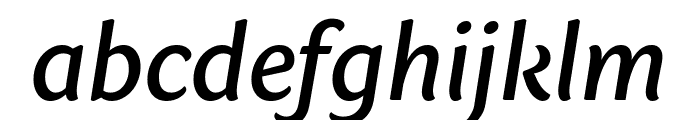 Sharik Sans Medium Italic Font LOWERCASE