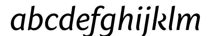 Sharik Sans Regular Italic Font LOWERCASE