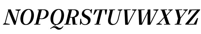 Silva Display Medium Italic Font UPPERCASE
