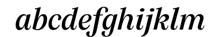 Silva Display Medium Italic Font LOWERCASE