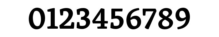 Skolar Devanagari Semibold Font OTHER CHARS