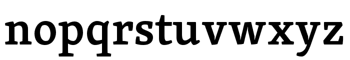 Skolar Devanagari Semibold Font LOWERCASE