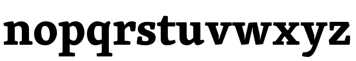 Skolar Gujarati Bold Font LOWERCASE