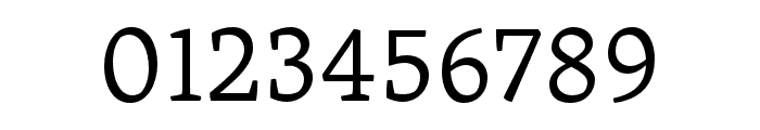 Skolar Gujarati Light Font OTHER CHARS