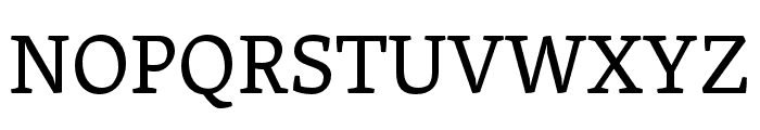 Skolar Gujarati Regular Font UPPERCASE