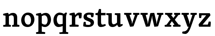 Skolar Gujarati Semibold Font LOWERCASE