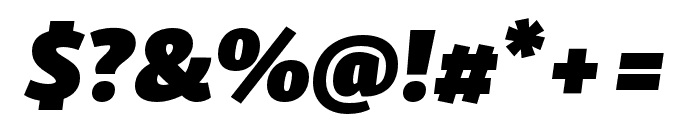 Skolar Sans Latin Black Italic Font OTHER CHARS