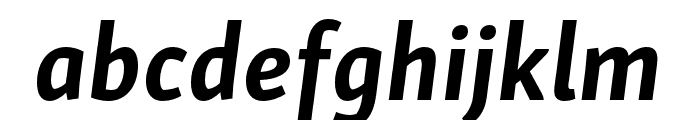 Skolar Sans Latin Compressed Bold Italic Font LOWERCASE