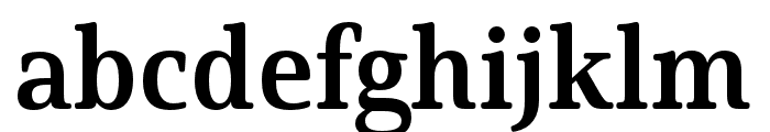 Solitas Serif Norm Bold Font LOWERCASE