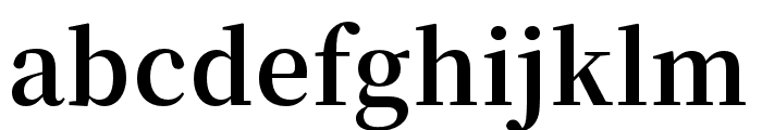 Source Han Serif Bold Font LOWERCASE