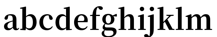 Source Han Serif SC Bold Font LOWERCASE