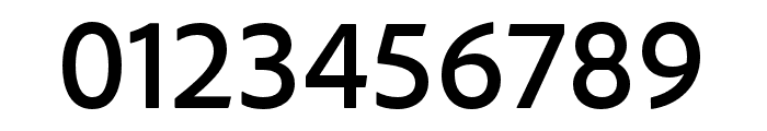 Source Sans 3 Light Italic Font OTHER CHARS