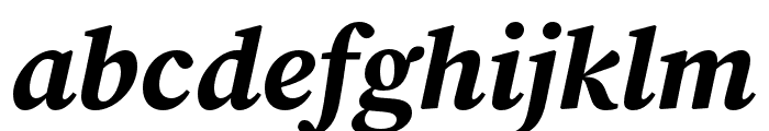 Source Serif 4 Bold Italic Font LOWERCASE