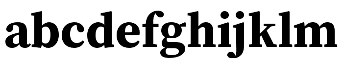 Source Serif 4 Bold Font LOWERCASE