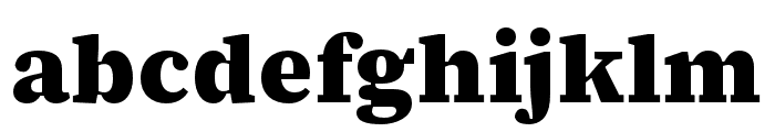 Source Serif 4 Caption Black Font LOWERCASE