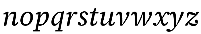 Source Serif 4 Caption Italic Font LOWERCASE