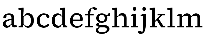 Source Serif 4 Caption Regular Font LOWERCASE