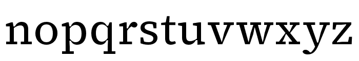 Source Serif 4 Caption Regular Font LOWERCASE