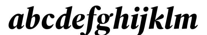 Source Serif 4 Display Black Italic Font LOWERCASE