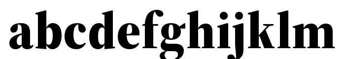 Source Serif 4 Display Black Font LOWERCASE