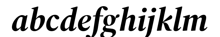 Source Serif 4 Display Bold Italic Font LOWERCASE