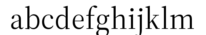 Source Serif 4 Display Regular Font LOWERCASE