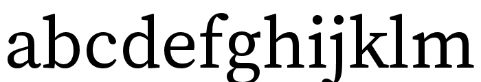 Source Serif 4 Regular Font LOWERCASE