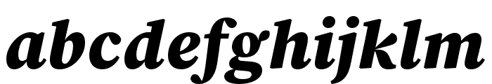 Source Serif 4 SmText Black Italic Font LOWERCASE
