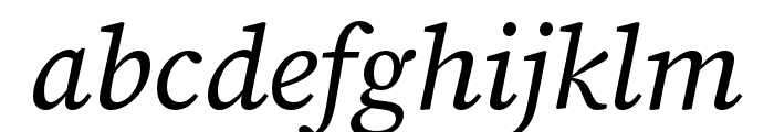 Source Serif 4 SmText Italic Font LOWERCASE