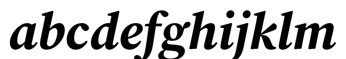 Source Serif 4 Subhead Bold Italic Font LOWERCASE