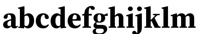 Source Serif 4 Subhead Bold Font LOWERCASE
