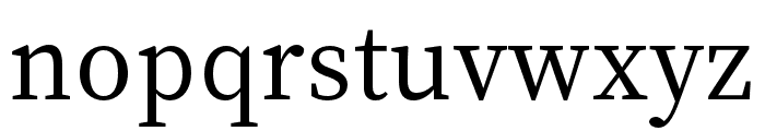 Source Serif 4 Subhead Regular Font LOWERCASE
