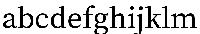 Source Serif Pro Regular Font LOWERCASE