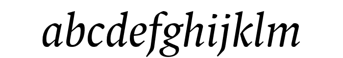 Spinoza Pro Italic Font LOWERCASE