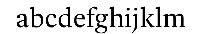 Spinoza Pro Regular Font LOWERCASE