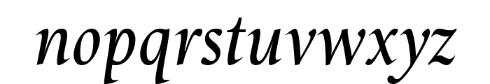 Starling Italic Font LOWERCASE