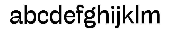 Stinger Variable Regular FONT