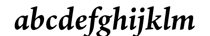 Ten Oldstyle Bold Italic Font LOWERCASE