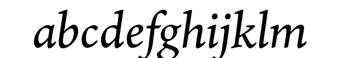 Ten Oldstyle Medium Italic Font LOWERCASE
