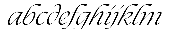 The Seasons Light Italic Font LOWERCASE