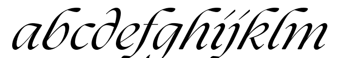 The Seasons Regular Italic Font LOWERCASE